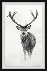 "Elk Stare II" Framed Painting Print, 30"x45"