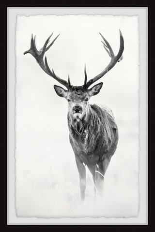 "Elk Stare II" Framed Painting Print, 30"x45"