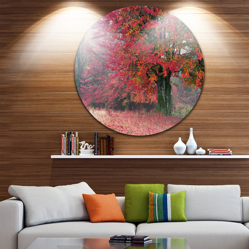 Calm Autumn Forest After Storm, Landscape Round Metal Wall Art, 38"