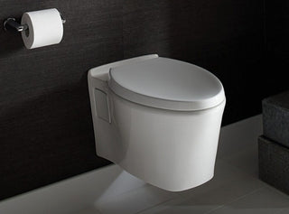 Pleo Modern Toilet Seat With Slow Close, Quick Hinge Release