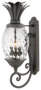 Hinkley Plantation Large Wall Mount Lantern, Museum Black
