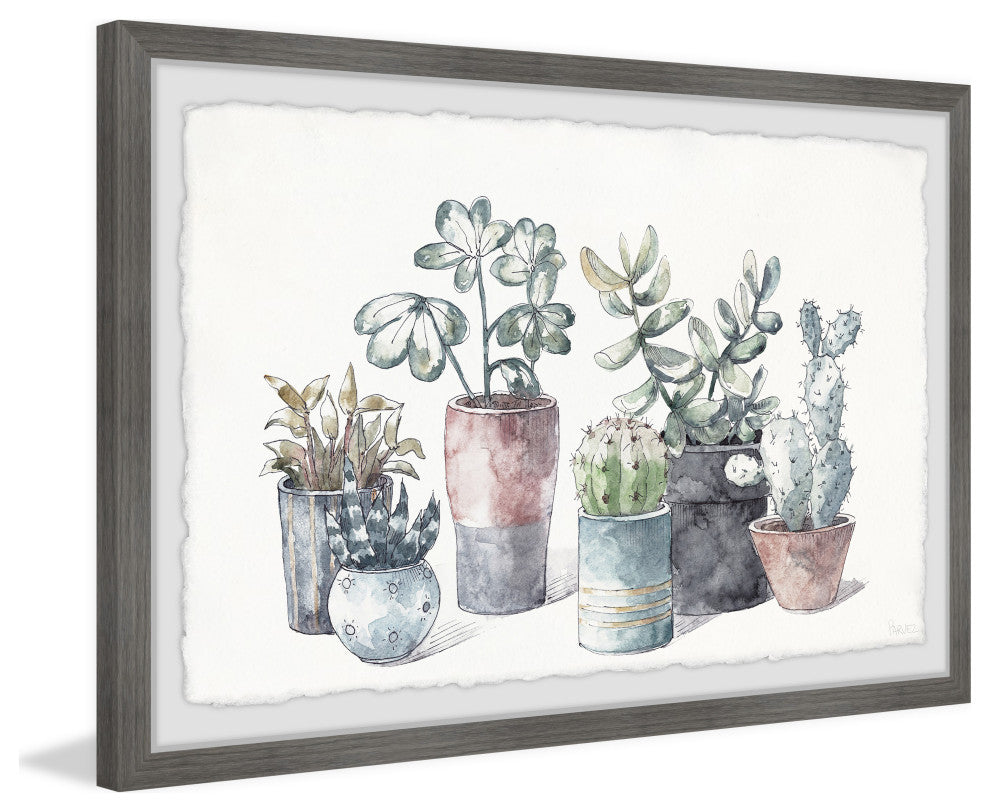 "Succulent, Display Planters" Framed Painting Print