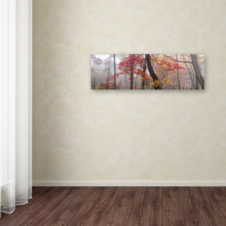 Doug Cavanah 'Garnet And Gold' Canvas Art, 10x32