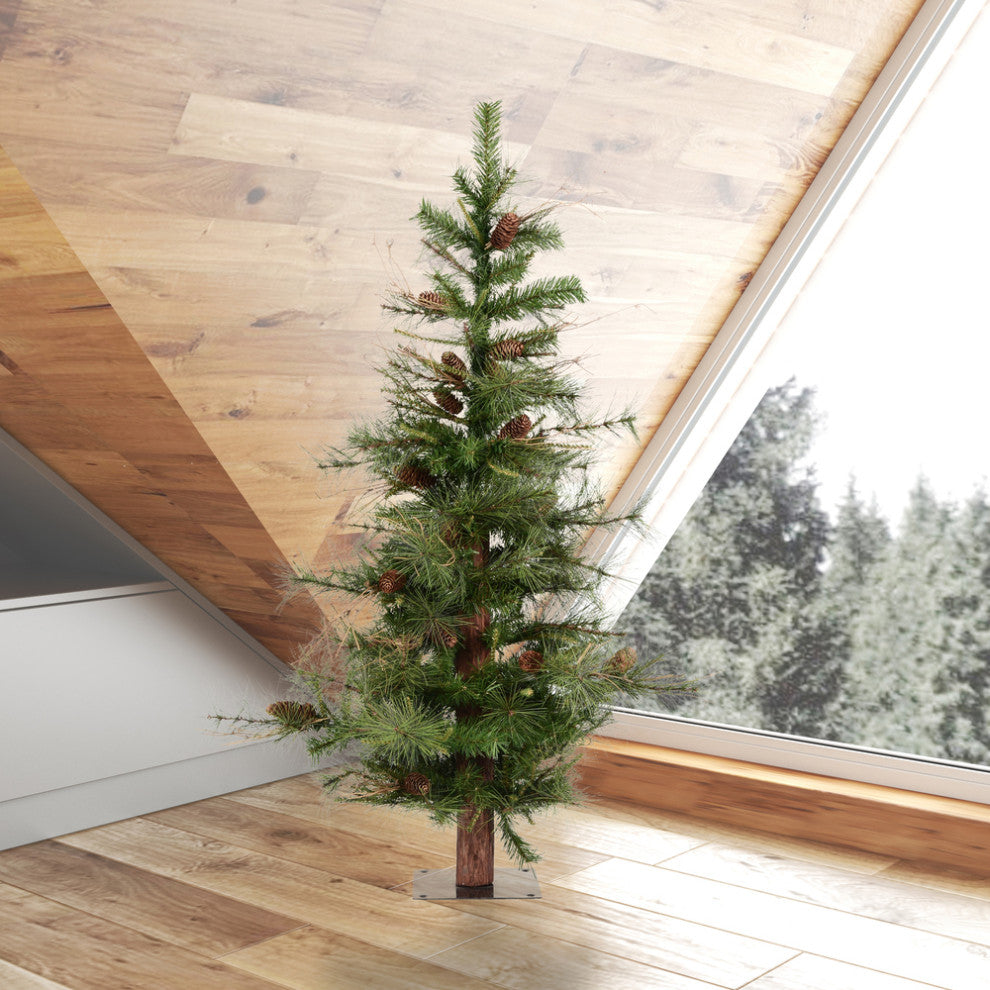4' X 30" Ashland 331 Tips Pine Cones