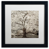 Alan Blaustein 'Hampton Magnolia II' Art, Black Frame, White Mat, 16x16