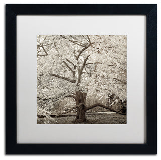 Alan Blaustein 'Hampton Magnolia II' Art, Black Frame, White Mat, 16x16