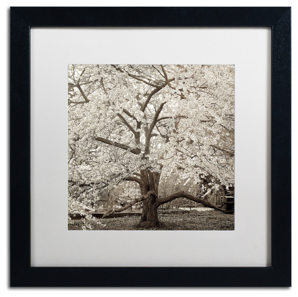 Alan Blaustein 'Hampton Magnolia II' Art, Black Frame, White Mat, 16x16