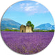 Old House And Tree In Lavender Field, Landscape Round Artwork, 23"