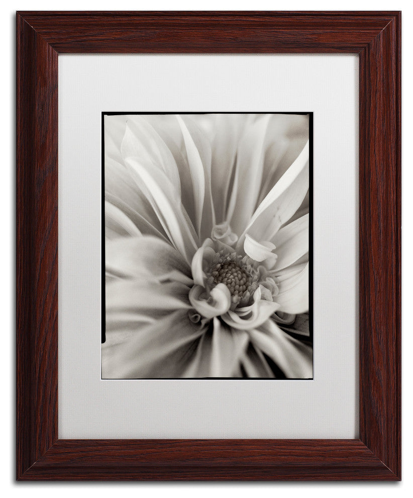 Alan Blaustein ''Florison 21'' Art, Wood Frame, White Mat, 11x14