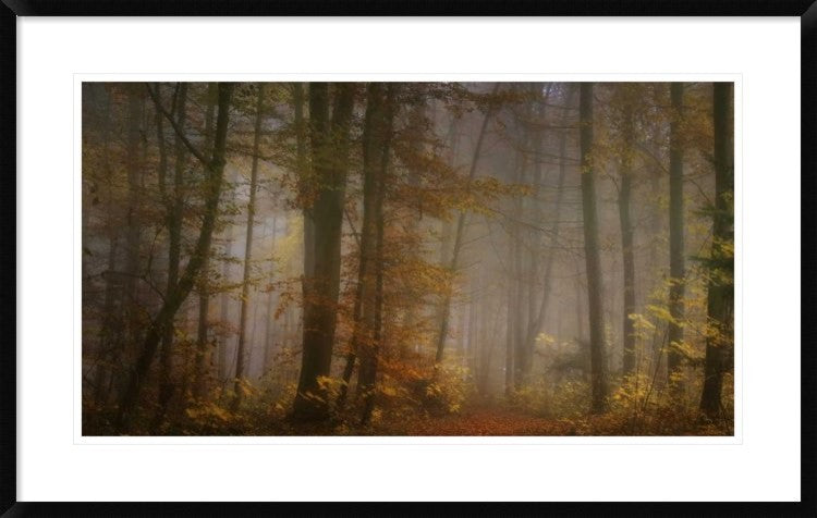 "My November" Framed Digital Print by Norbert Maier, 38x24"
