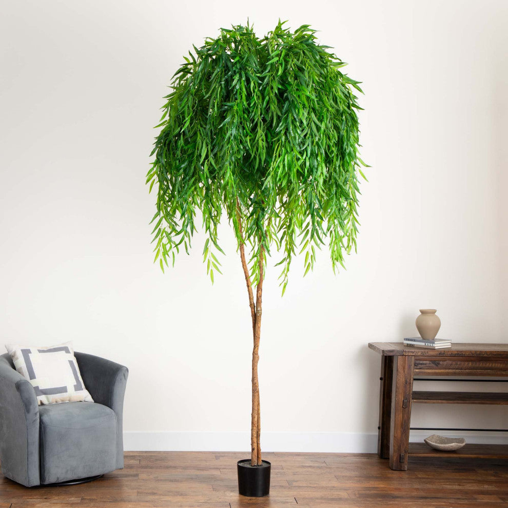 Full willow tree shown in a real-room lifestyle setting.