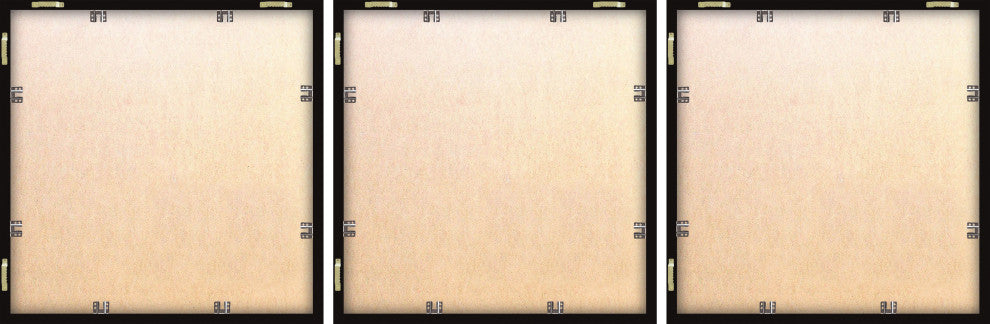 Trout and Tuna Triptych, 3-Piece Set, 32x32 Panels
