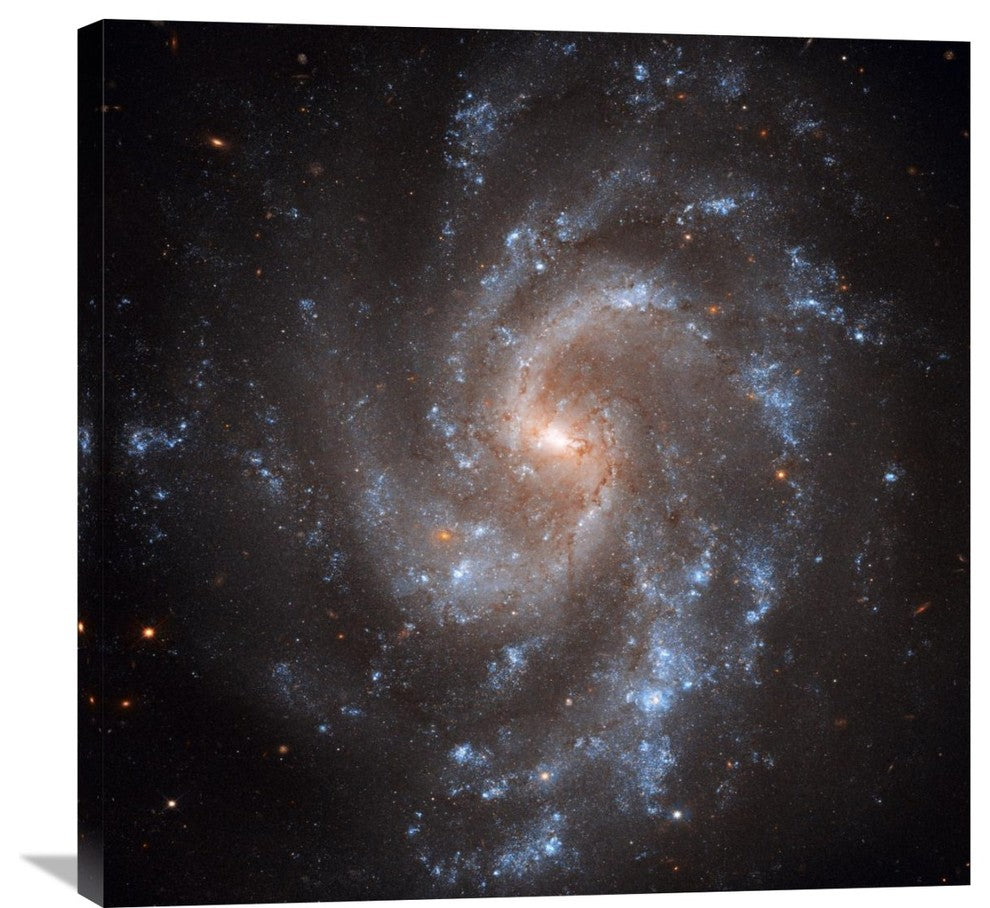 "NGC 5584" Artwork, 30"x30"