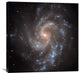 "NGC 5584" Artwork, 30"x30"