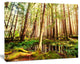 Dense Trees in Green Rain Forest, Oversized Landscape Canvas Art, 40"x30"