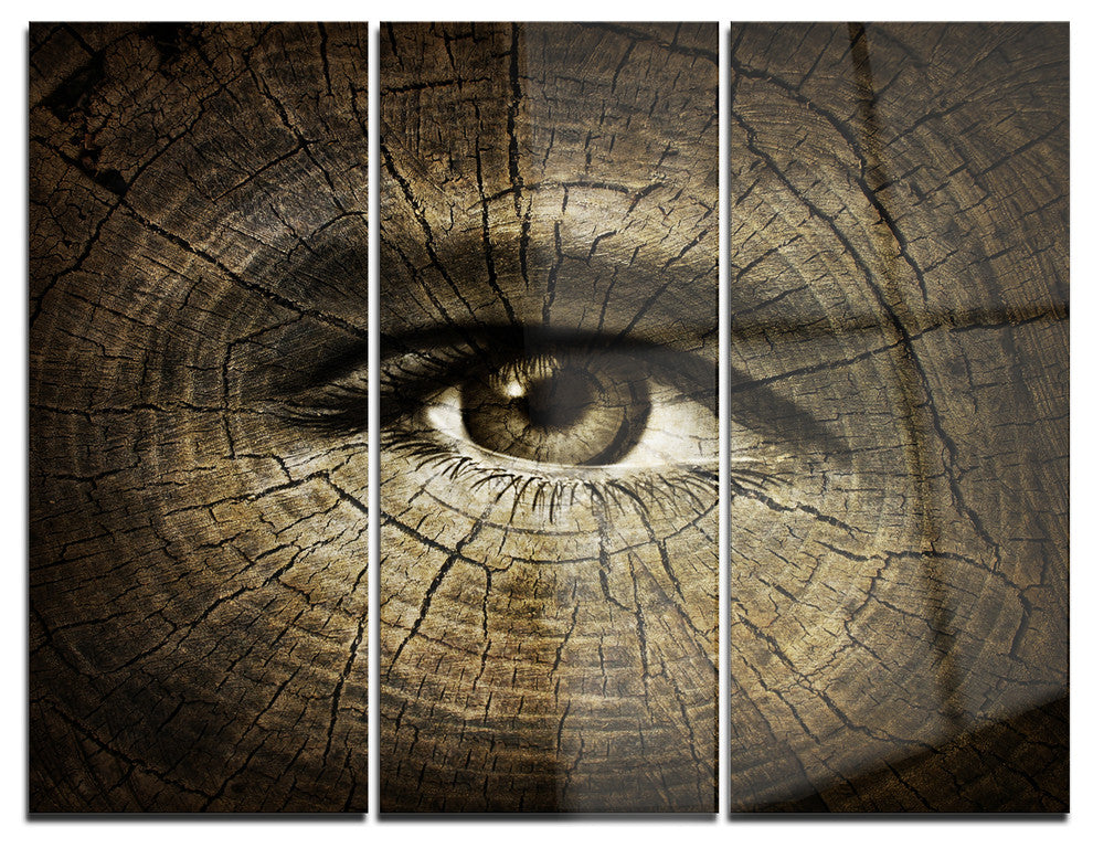 "Aging Eyes" Metal Wall Art, 3 Panels, 36"x28"