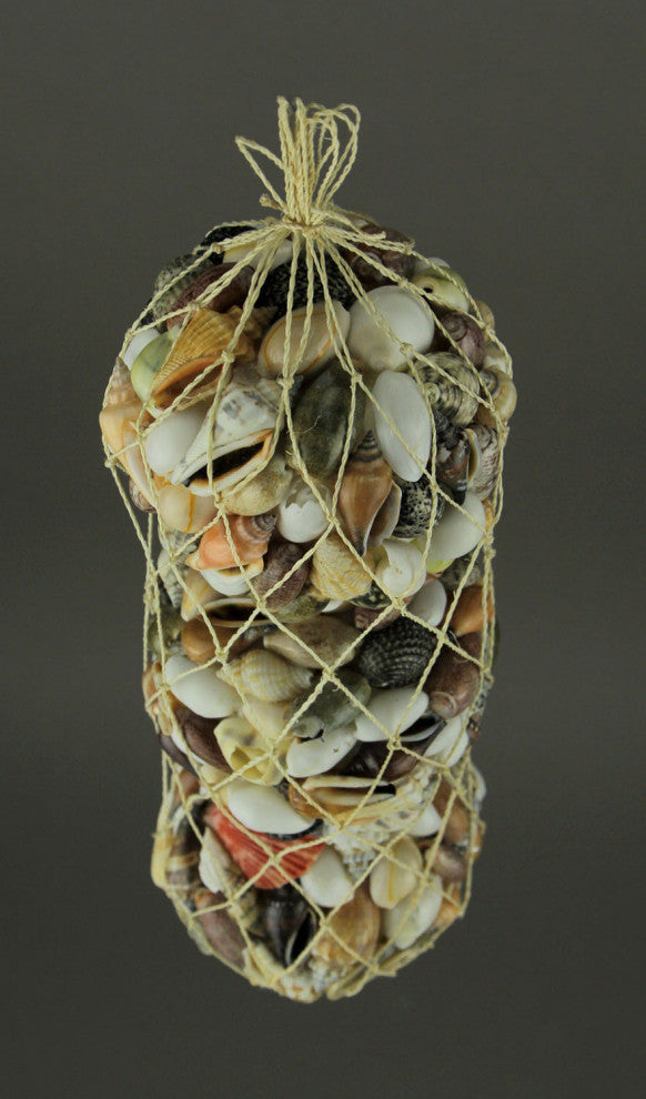 Assorted Seashell Decor Ball Figurine Set of 3