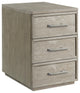 Riverside Furniture Fresh Perspectives Mobile File Cabinet