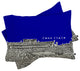 Deny Designs Bird Ave Penn State University Navy Pillow Shams, King