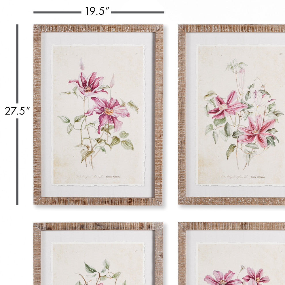4-Piece Pink Clematis Print Set