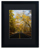 ''Autumn Along the Valley Parkway 2'' Matted Framed Canvas Art by Kurt Shaffer