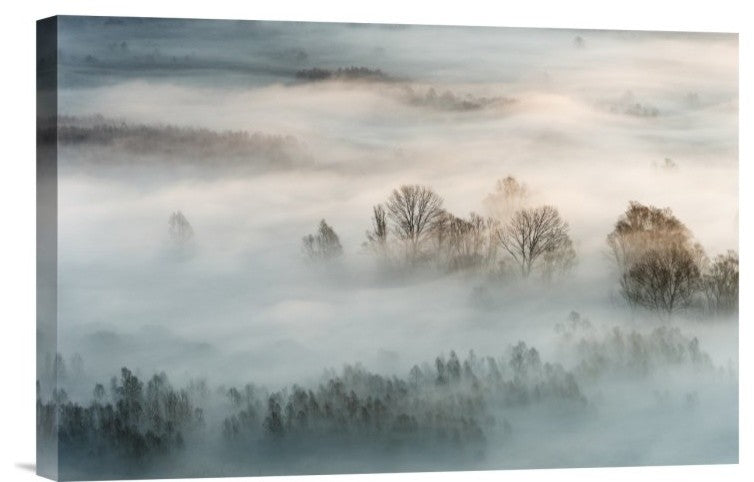 "Winter Fog" Stretched Canvas Giclee by Marco Galimberti, 18x12"