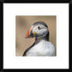 "Portrait" Framed Digital Print by Piotr Galus, 18"x18"