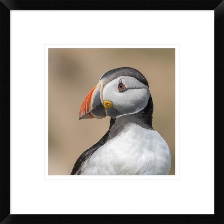 "Portrait" Framed Digital Print by Piotr Galus, 18"x18"