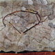 Egon Schiele Autumn Tree in Movement - 20" x 20" Premium Canvas Print