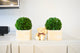 Artificial Boxwood Ball Topiary Artificial Plant Tabletop In Pot 7"H, Set of 2