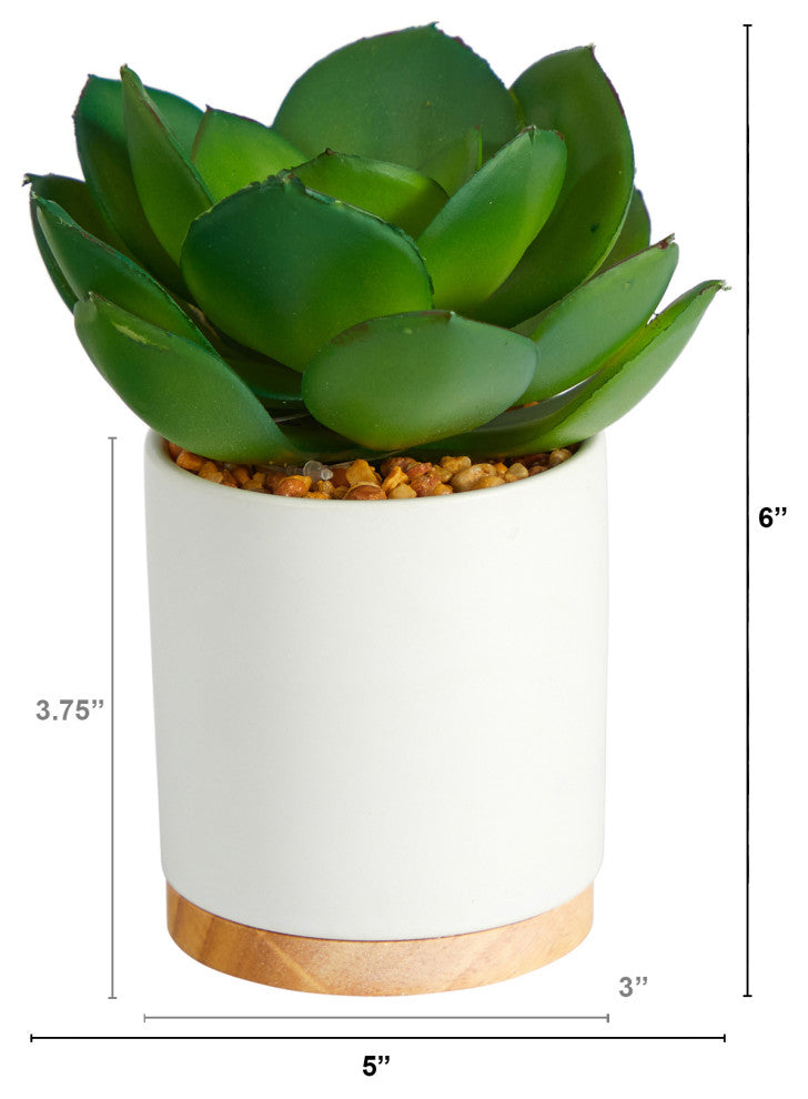 6" Succulent Artificial Plant, White Ceramic Planter