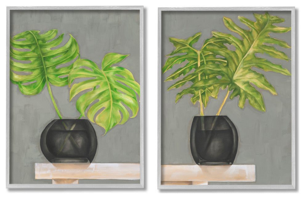 Tropical Plant Fronds Monstera Interior Still Life,16 x 20