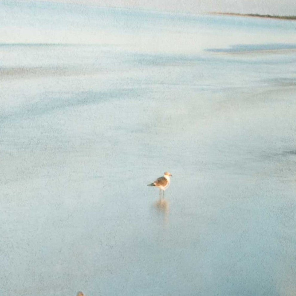 23" Coastal Two Seagulls on the Beach Giclee Wrap Canvas Wall Art