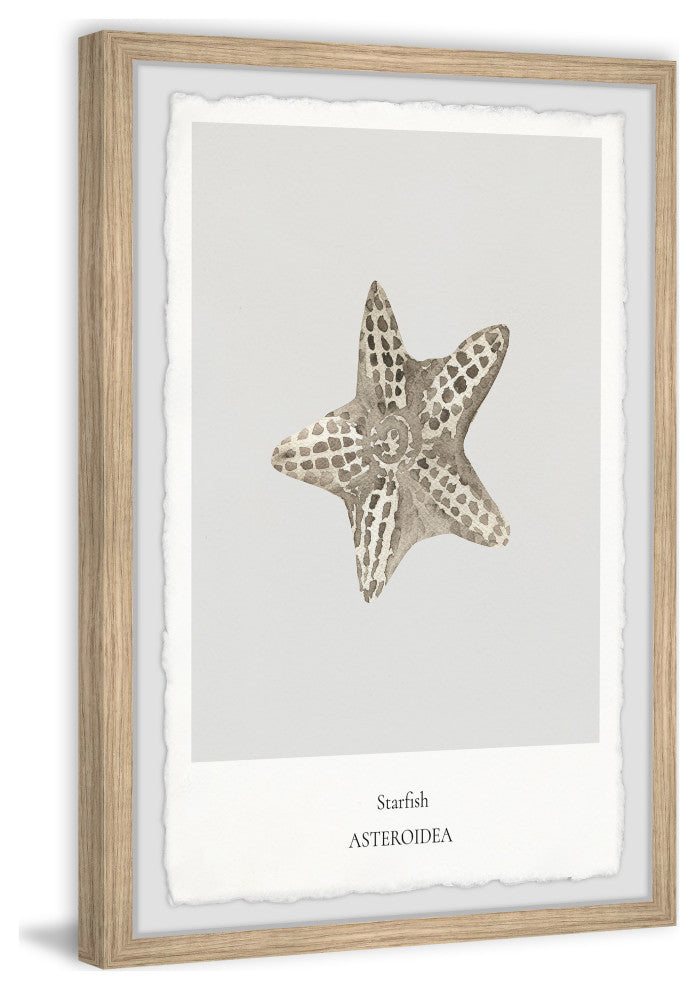 "Asteroidea" Framed Painting Print, 30x45