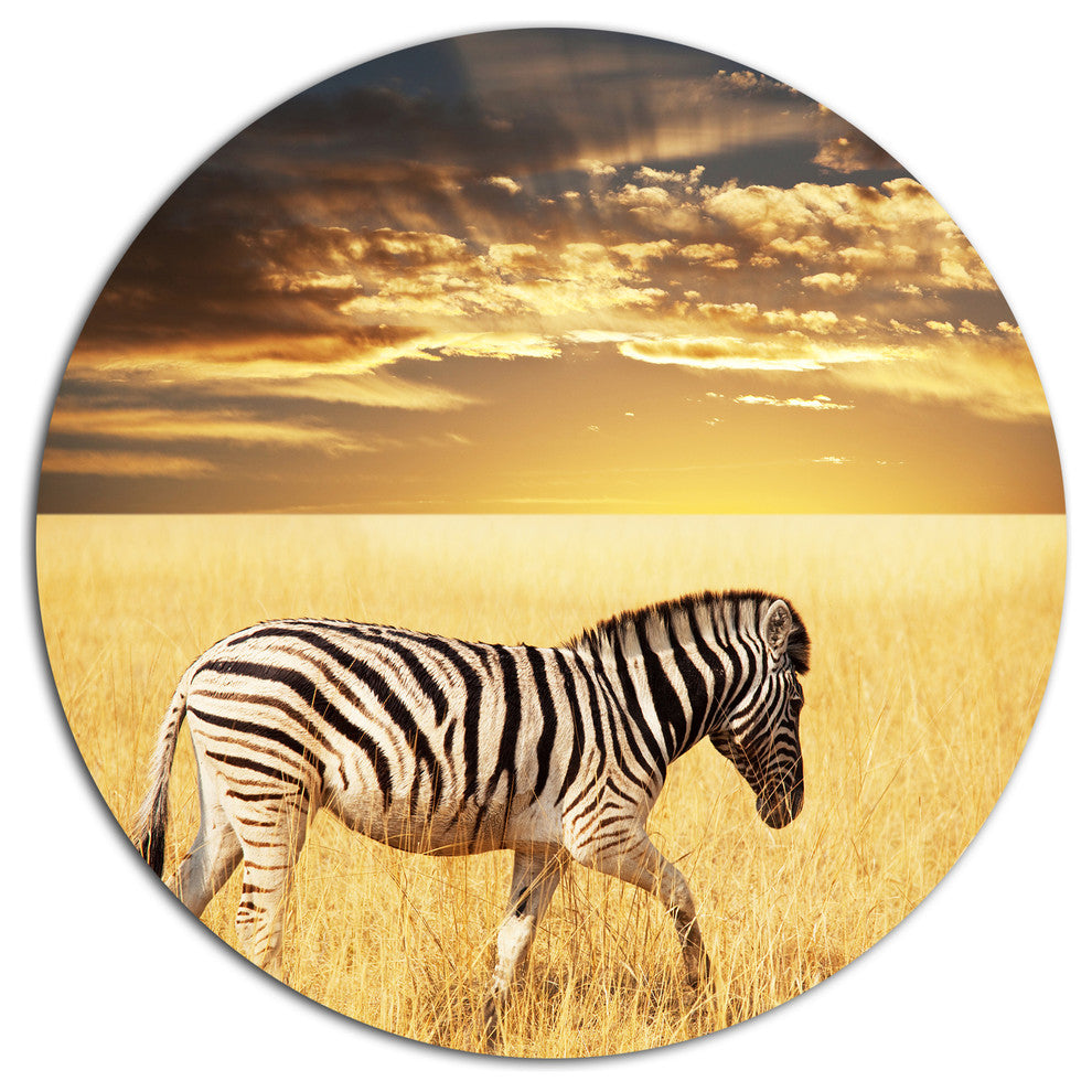 Solitary Zebra Walking In Grassland, African Round Metal Wall Art, 23"