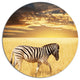Solitary Zebra Walking In Grassland, African Round Metal Wall Art, 23"