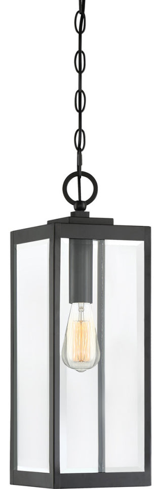 Westover 1-Light Outdoor Lantern, Earth Black