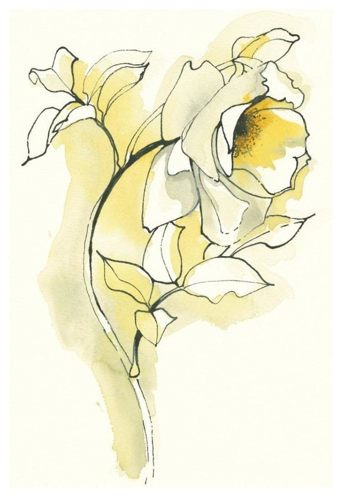 "Carols Roses III" Digital Paper Print by Shirley Novak, 26"x34"