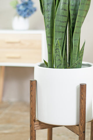 Large Ceramic Cylinder Planter 10" White With Plant Stand Dark Walnut