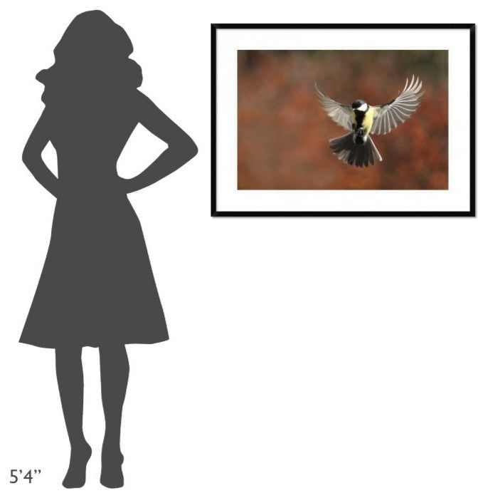 "Fly" Framed Digital Print by Barre Thierry, 38"x28"