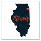 Blue and Orange Illinois Pride 16x16 Canvas Wall Art