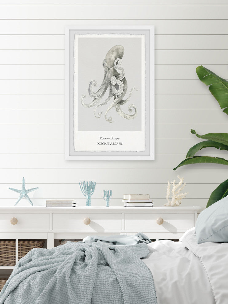 "Octopus Vulgaris" Framed Painting Print, 12x18
