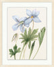 Vintage Floral Sketch 1, Giclee Reproduction Artwork