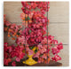 Romana Lilic  / La76 Photography Blooming Mexico In A Vase Wood Wall Mural