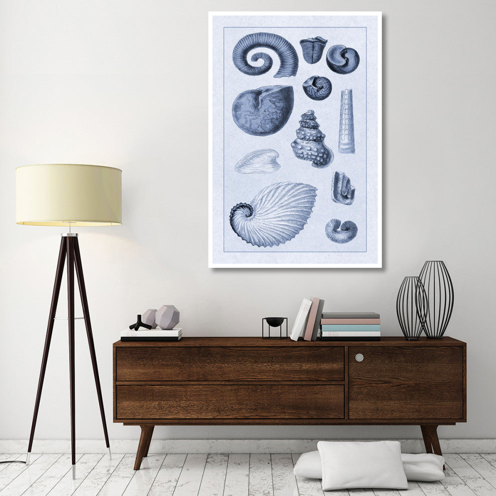 "Shells: Ammonacea (Blue)" Digital Paper Print by G.B. Sowerby, 42"x62"