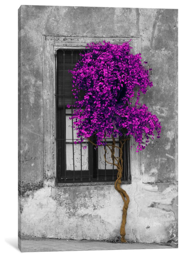 "Tree in Front of Window Purple Pop Color Pop" by Panoramic Images, 26x18x1.5"