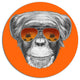 Monkey With Mirror Sunglasses, Animal Round Metal Wall Art, 36"