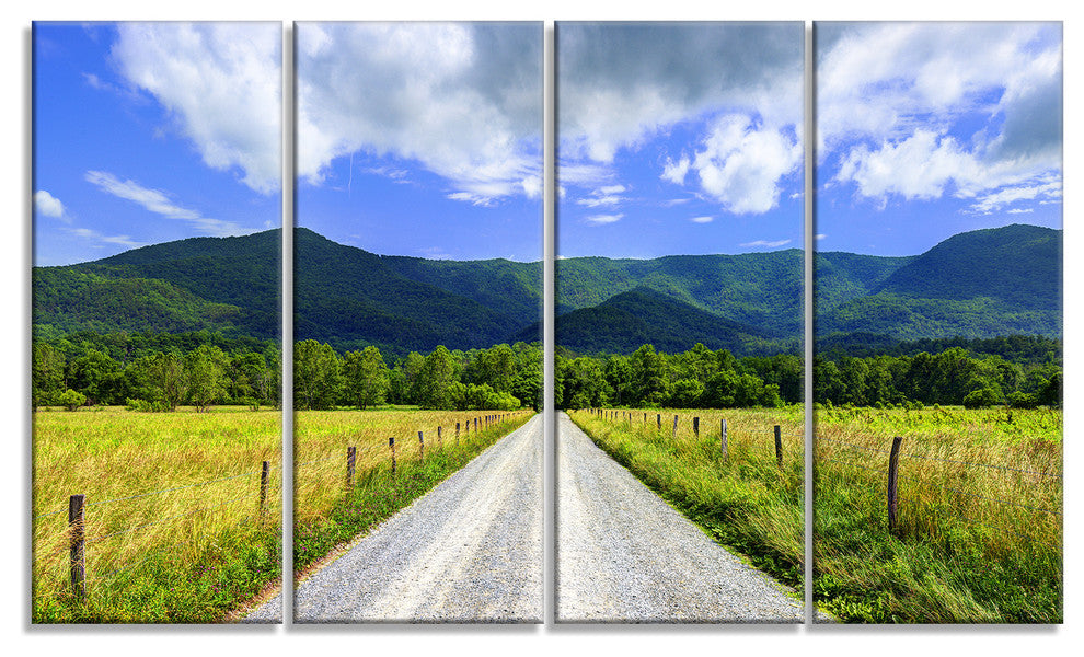 Sparks Lane in Cades Cove, Landscape Canvas Art Print, 48"x28", 4 Panels