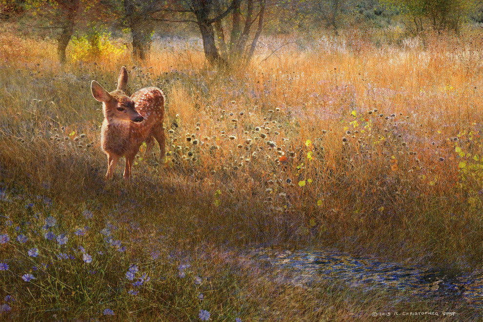"Flowered Meadow Fawn" Print on Canvas by Chris Vest