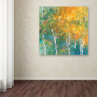 Julia Purinton 'Confetti II' Canvas Art, 24" x 24"